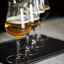 Luigi Bormioli Birrateque 14.25oz Beer Tester Glass | Set Of 2 -Libbey Sales Store 817i6 p4dbl. ac sl1500