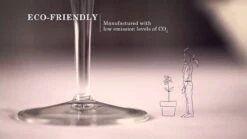 Luigi Bormioli 20oz Aero Grand Vini Glass | Set Of 6 -Libbey Sales Store maxresdefault 151 3