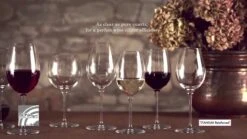 Luigi Bormioli Top Class 12.25oz Water Glass | Set Of 6 11 Luigi Bormioli Top Class 12.25oz Water Glass | Set Of 6 -Libbey Sales Store maxresdefault 152 19